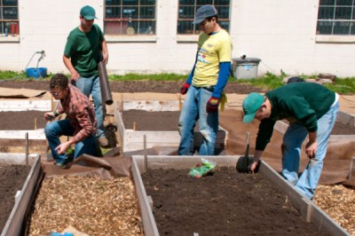 UW Oshkosh students tending to a community-based garden.