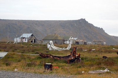 Whale bones in Gambell. (Photo by Sarah Garland)