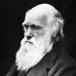 darwin
