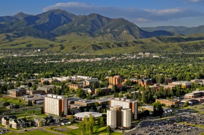 Montana State University
