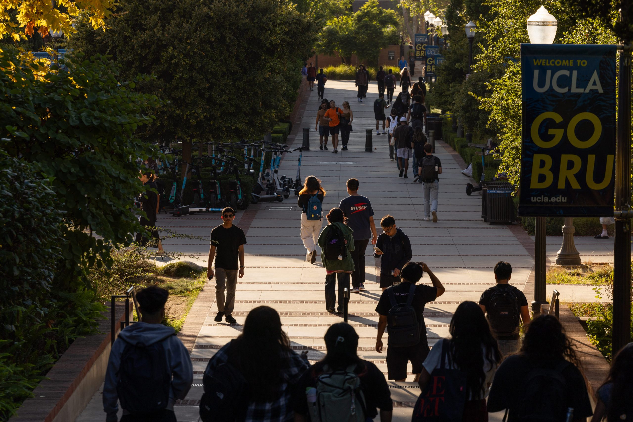U.S. citizen students face an agonizing choice: Affording college or protecting parents from deportation